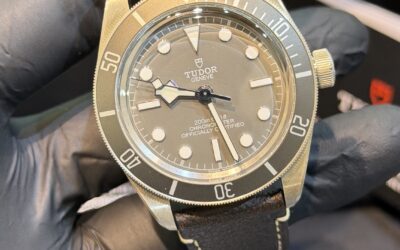 Tudor Black Bay 79010SG Argento Nuovo 2026 39mm – 3700 ( Listino 5200€ )